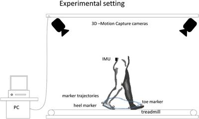 Validation of a Step Detection Algorithm during Straight Walking and Turning in Patients with Parkinson’s Disease and Older Adults Using an Inertial Measurement Unit at the Lower Back